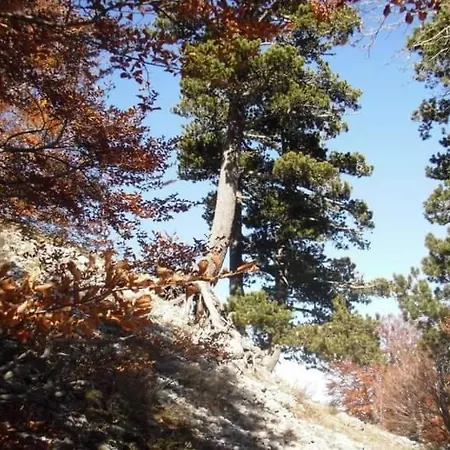 Bed And Breakfasts La Casetta