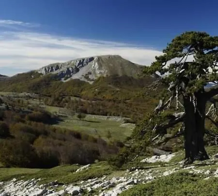 Bed And Breakfasts La Casetta Terranova di Pollino