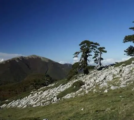 Bed And Breakfasts La Casetta 3*