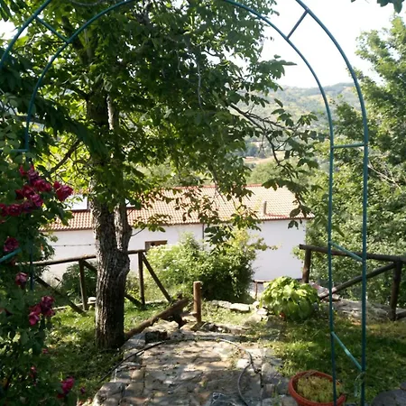Bed And Breakfasts La Casetta Nocleg ze śniadaniem Terranova di Pollino