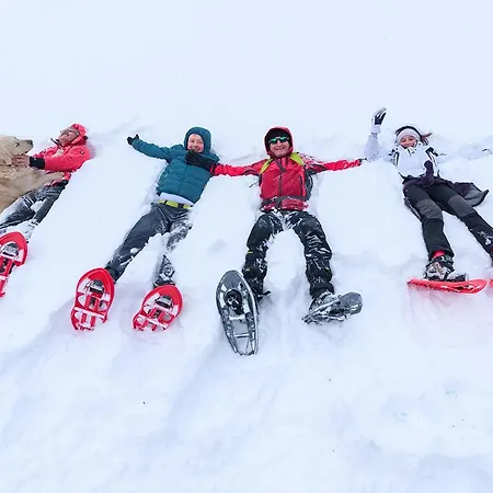 Bed And Breakfasts La Casetta Terranova di Pollino
