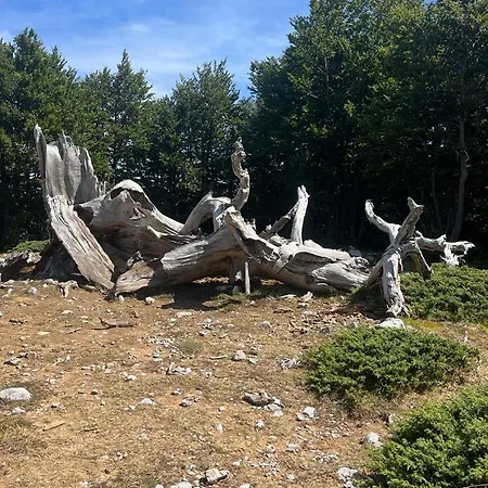 Bed And Breakfasts La Casetta Frühstückspension 3*