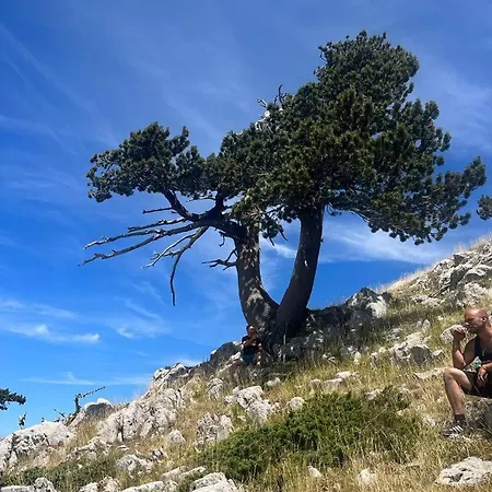 Bed & Breakfast Bed And Breakfasts La Casetta Terranova di Pollino