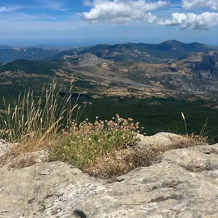 Bed And Breakfasts La Casetta 테라노바 디 폴리노