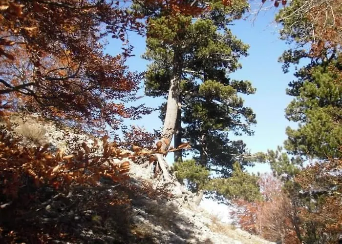 Bed And Breakfasts La Casetta