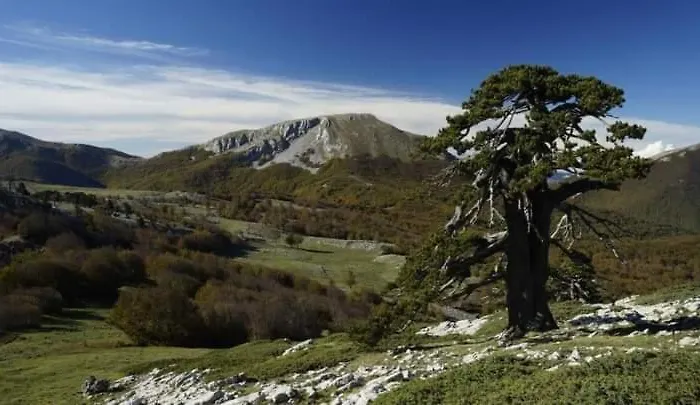 Bed And Breakfasts La Casetta Terranova di Pollino