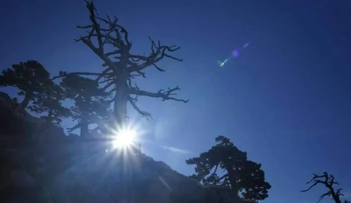 Bed And Breakfasts La Casetta Bed & Breakfast