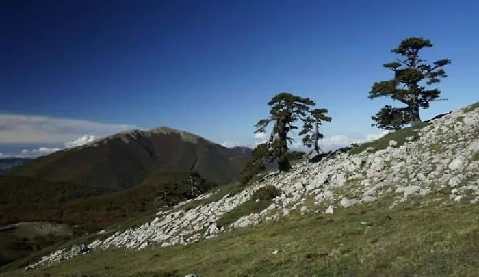 Bed And Breakfasts La Casetta 3*