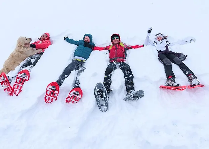 Bed And Breakfasts La Casetta Терранова-ди-Поллино