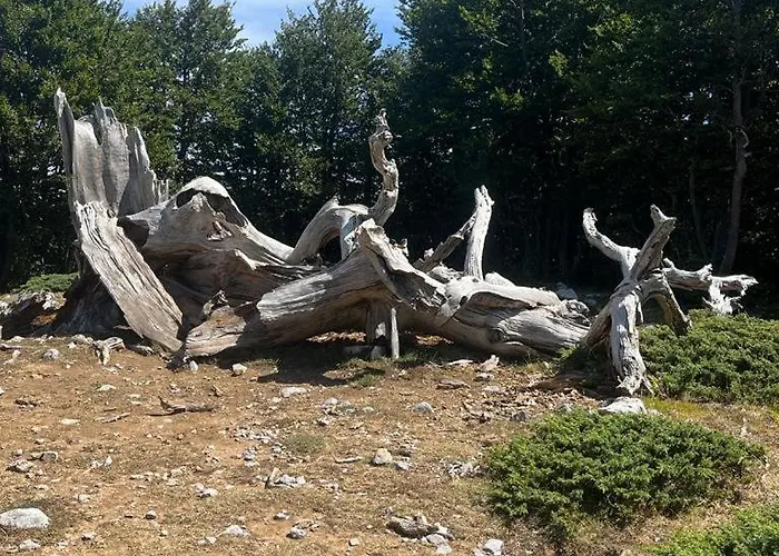 Bed And Breakfasts La Casetta Bed & Breakfast 3*