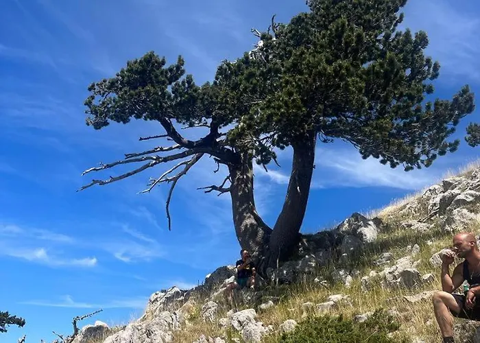 Bed & Breakfast Bed And Breakfasts La Casetta Terranova di Pollino