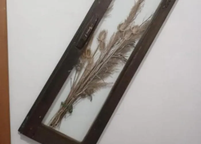 Bed And Breakfasts La Casetta 3* Terranova di Pollino